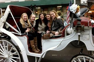 Central Park Private Horse and Carriage Tour