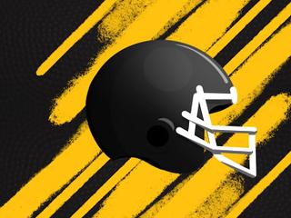 2026 Pittsburgh Steelers Season Tickets (Includes Tickets To All Regular Season Home Games)