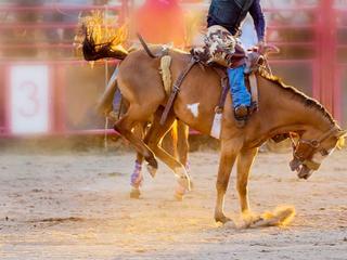 Caldwell Night Rodeo