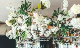 Angelica & Crafthouse