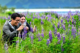Turnagain Arm Highlights Photo Tour