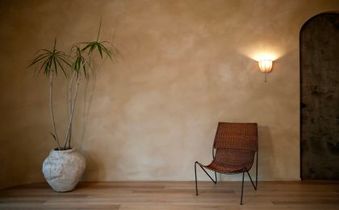 Limewashed, walls arched door, and tropical backyard