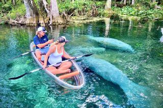 Silver Springs Clear Kayak Tour – Manatees & Monkeys Tour