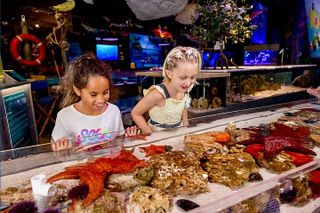 Mertailor's Mermaid Aquarium Encounter General Admission