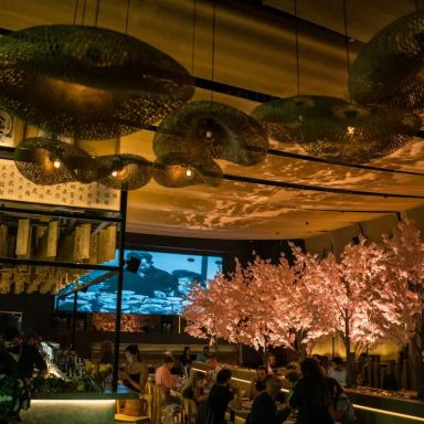 Paperfish Sushi Brickell