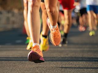 Brasov 21K