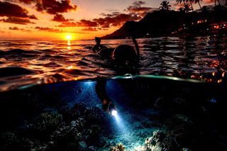 Golden Hour Glow Snorkel: Snorkel With Sea Turtles