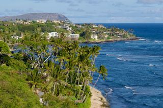 Private Tour Oahu - Up to 4 Guest - Customizable