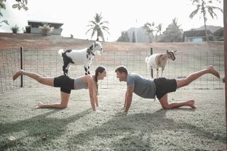Goat Yoga Group Session