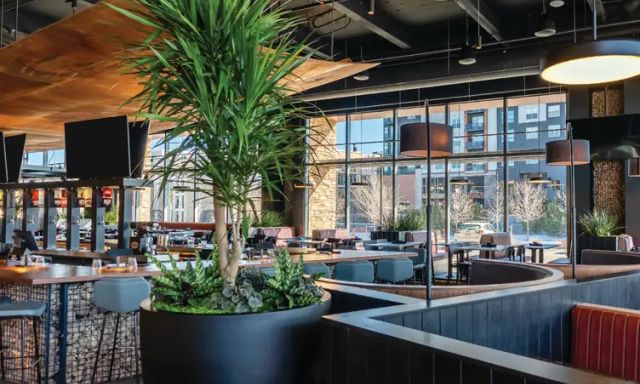 Great Divide Brewery & Roadhouse - Lone Tree