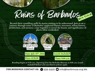 Wetlands & Untamed Scenes Tour