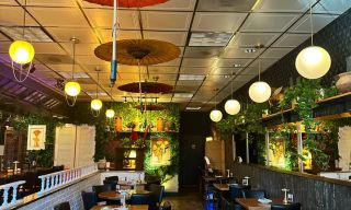 Top Burmese Burma Joy