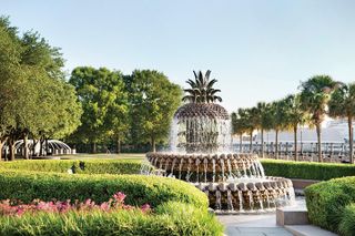 Undiscovered Charleston: Half Day Food, Wine & History Tour with Cooking Class