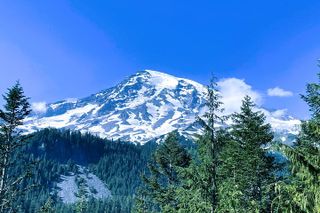 Mount Rainier Customized Tour from Seattle