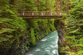 Explore Olympic National Park from Seattle through Van /Ferry