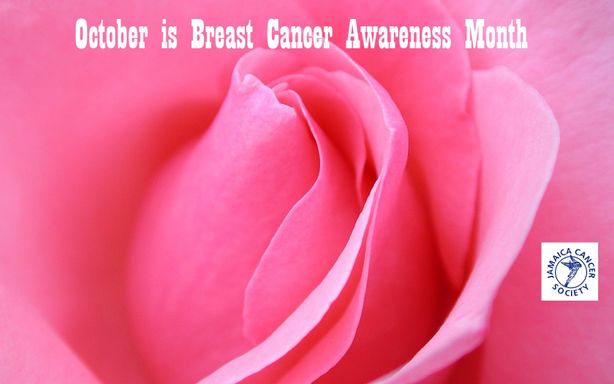 October is Breast Cancer Month