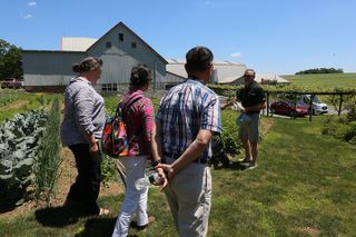 Authentic Tour & Meal with the Amish!