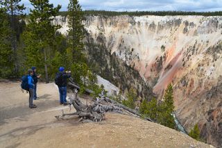 Grand Canyon of Yellowstone Hiking Adventure Full Day with Lunch