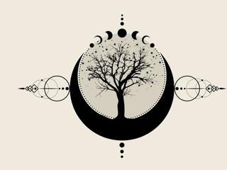 Exploring the Shamans Path