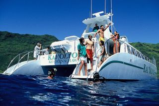 Luxury Snorkel Cruise with Dolphin Watch and Local Buffet