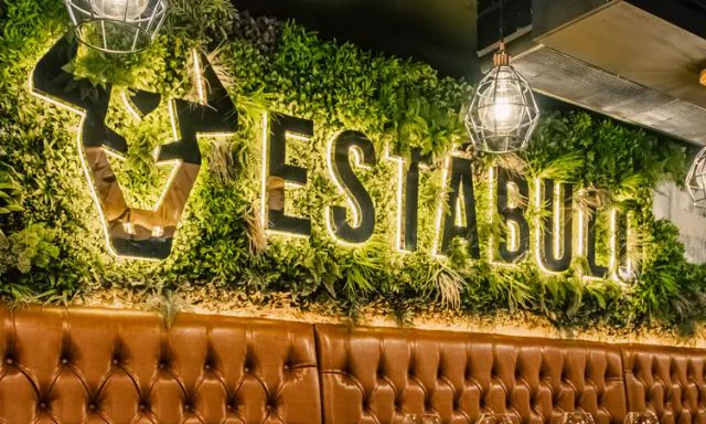 Estabulo - The Light