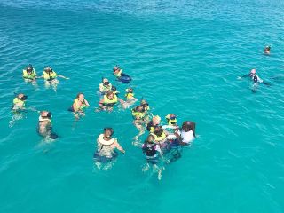 Barbados Turtle and Shipwreck Snorkel Adventure