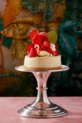 Sexy Fish Miami Hits the Streets with Free Mini Cheesecakes