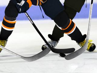 Niagara Icedogs at Brampton Steelheads