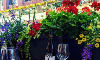 Bindia Indian Bistro