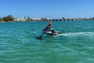 St. Pete 2-Hour Guided Jet Ski Adventure | Dolphins, Islands