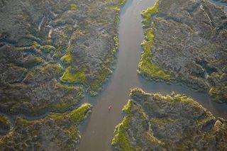 Hilton Head Guided Kayak Tour