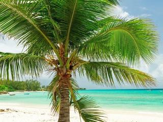 Hike Barbados: Oistins