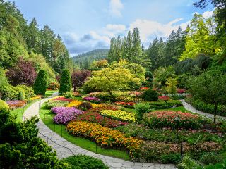 Victoria and Butchart Gardens, an Elevated Experience