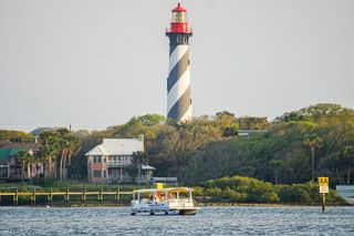 Dolphin and Wildlife History Tour