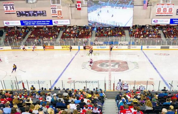 Brampton Steelheads at Ottawa 67's