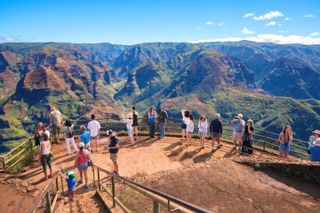 Kauai Full Day Tour with Cruise ships or Kauai Airport Pickup