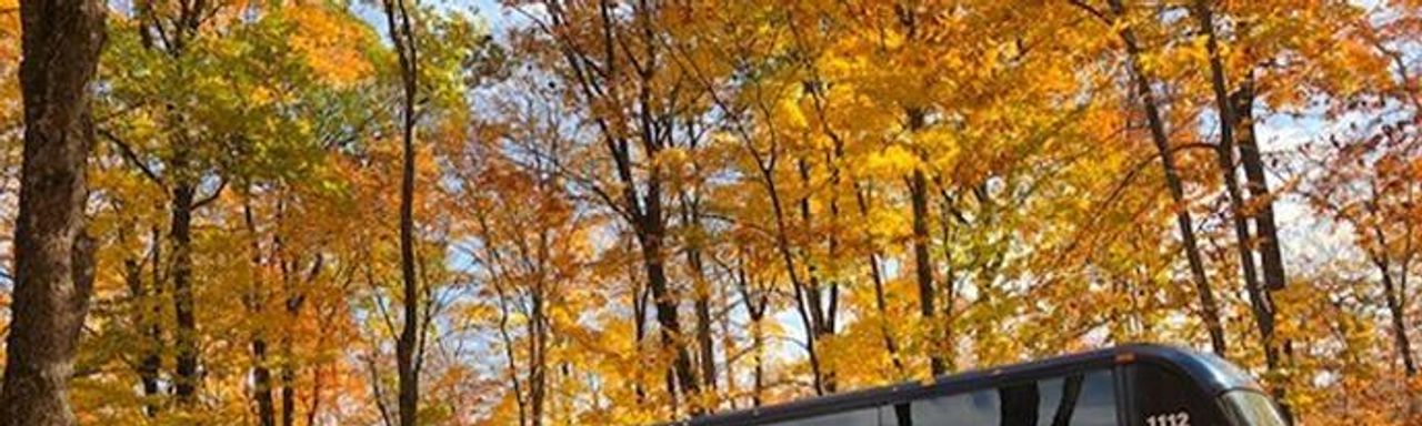 Robin Hood Tours & Charters