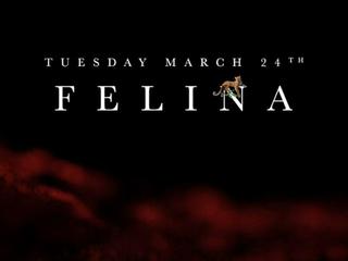 Thee Fever Nights : Felina Tuesdays