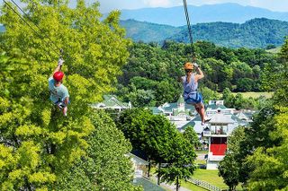 Small-Group 7-Line Zipline Activity at Sevierville Nature Park