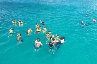 Barbados Turtle and Shipwreck Snorkel Adventure