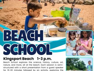 Beach School