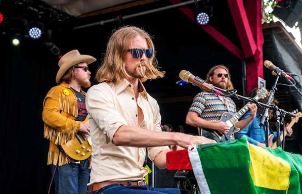Sheepdogs