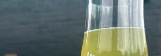 Upland Brewing Co - College Ave