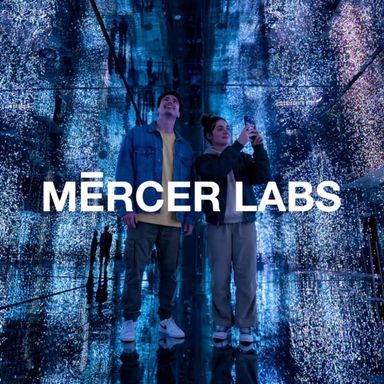 Mercer Labs: Museum of Art and Technology