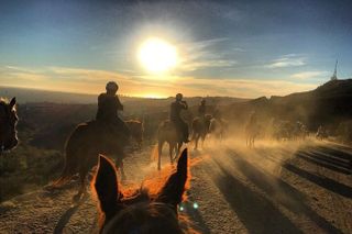 Mt. Hollywood Trail Tour on Horseback