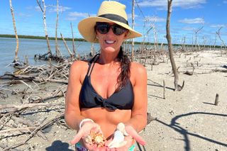 Private 4 Hour Shelling Adventure 10,000 Islands and Marco Island