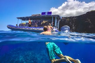 Lanai Snorkel Safari Experience from Maui