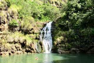 Oahu North Shore Fun: Waimea Waterfall & Turtle Snorkeling