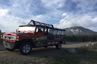 Sunset Wildlife Tour (Wildside 4x4 Tours)