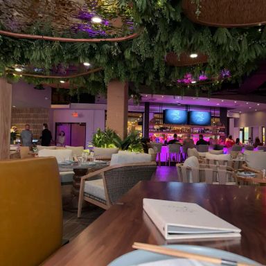 Palm Tree Club Orlando